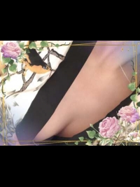 �ޔ��̎ʃ����L