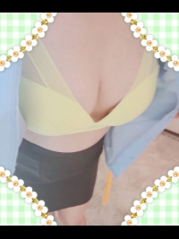 �ޔ��̎ʃ����L