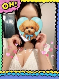 �L���[�e�B�[�̎ʃ����L