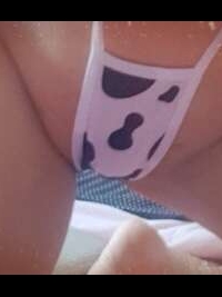 ���Y�̎ʃ����L