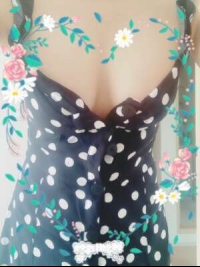 �߂���[�̎ʃ����L