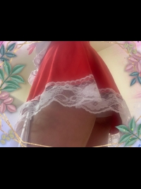 �߂���[�̎ʃ����L