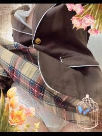 �ޔ��̎ʃ����L