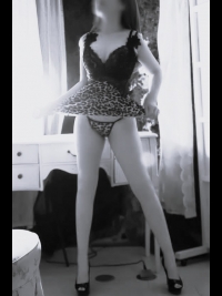 �C�u�̎ʃ����L